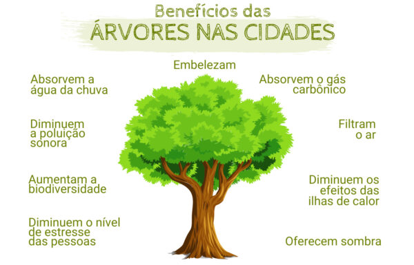 Sobre a Arborização Urbana na Cidade de Caçapava